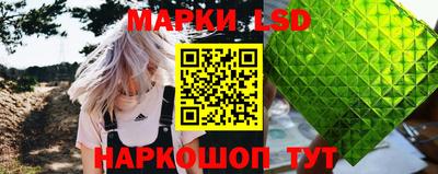 индика Долгопрудный