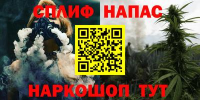 сатива Дмитров