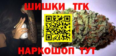 индика Долгопрудный