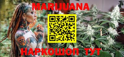 индика Долгопрудный