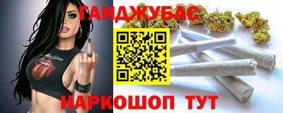 индика Долгопрудный