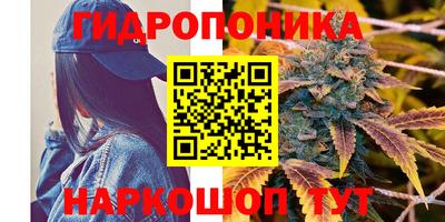 сатива Дмитров