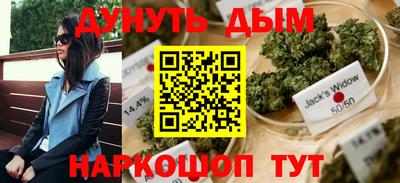 индика Долгопрудный