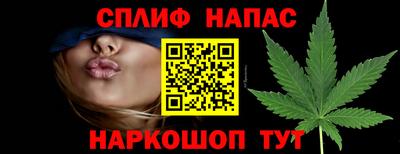 сатива Дмитров
